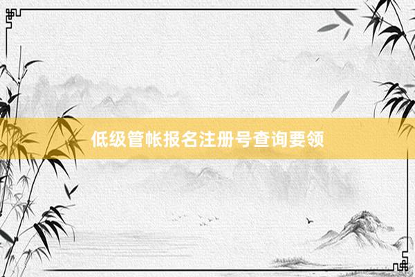 低级管帐报名注册号查询要领