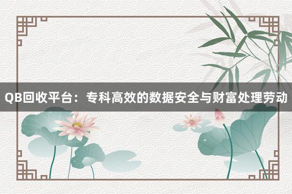 QB回收平台：专科高效的数据安全与财富处理劳动
