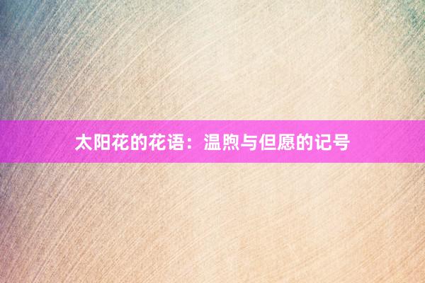 太阳花的花语：温煦与但愿的记号